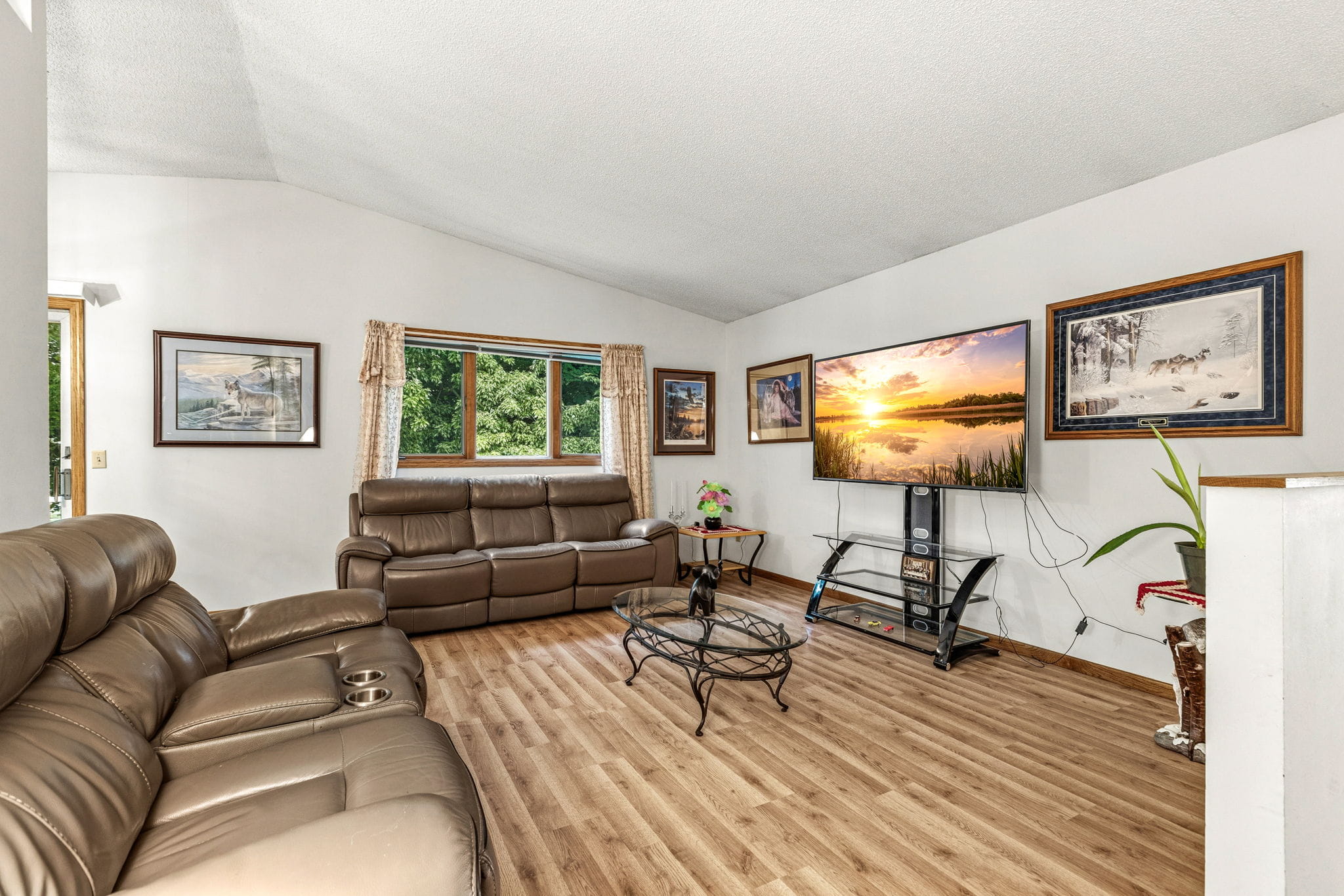 6672 Dawn Way, Inver Grove Heights, MN — vaulted-ceiling living room